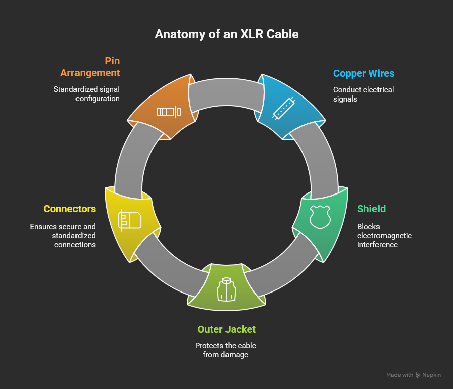 XLR 連接器針腳排列.png